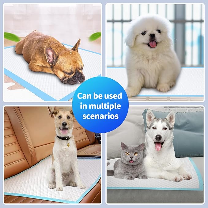 Upgrade Leak-Proof Pet Training and Puppy Pads, Jumbo Pee Pads for Dogs with Thicken Polymer Heavy Absorbency, Quick Dry Disposable Pee Pads for Cats Dogs - 50 Counts
