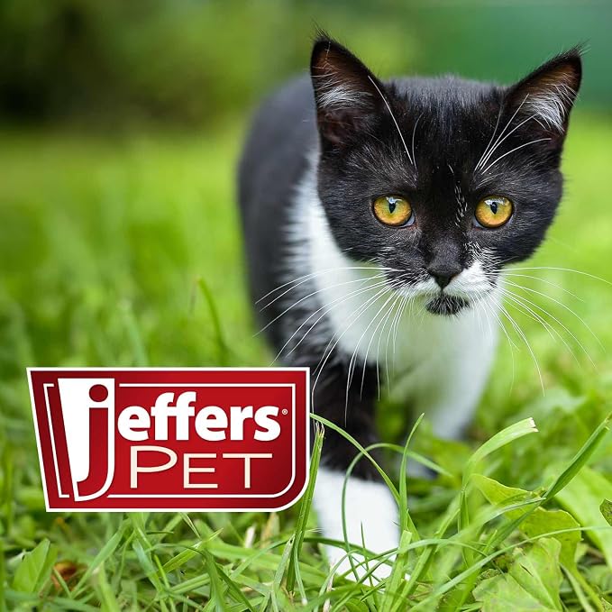 Jeffers Pet Ear Cleaning Solution for Dogs, Cats & Puppies, 128 oz