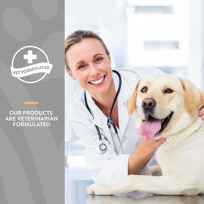 NaturVet Senior Dog Wellness Hip & Joint Advanced Plus - 120 Soft Chews