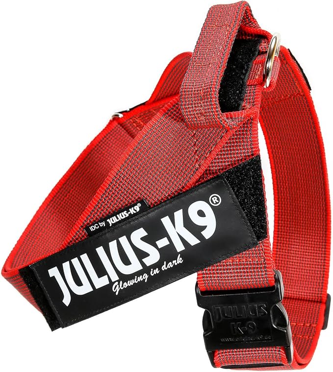 Julius-K9 IDC Color & Gray Belt Harness, Size: L/1, Red-Gray
