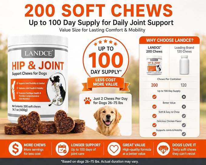 Hip and Joint Supplement for Dogs Glucosamine Chondroitin MSM Chews