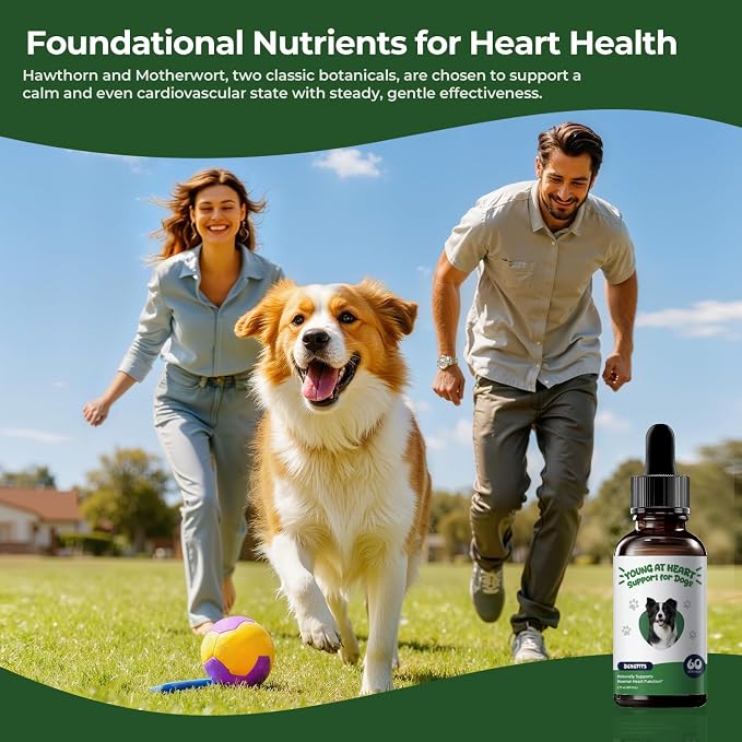 Young Heart for Dogs, Senior Cardiovascular Support, Taurine Drops
