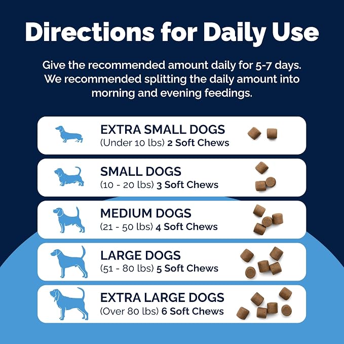 Vetnique Glandex Rapid Digestive Support for Dogs, Pumpkin + 7 Probiotics | Diarrhea Soft Chews to Firm Loose Stool, Pumpkin Fiber & 500M CFU Probiotics, Vet Formulated Chicken Flavor, 25 Count