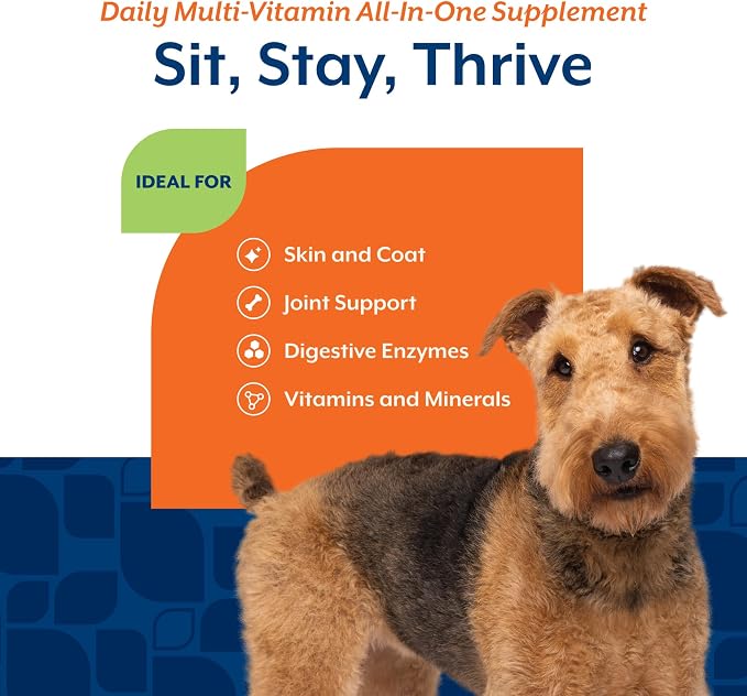 NaturVet All-in-One Dog Supplement Daily Multivitamin - 120 Soft Chews
