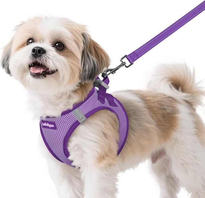 rabbitgoo Dog Harness Small Sized and Leash Set, Step in Soft Vest | Breathable Mesh, Easy Wear with Hook & Loop, Light and Reflective for Walking, Multi-colored, Light Purple & Purple, S