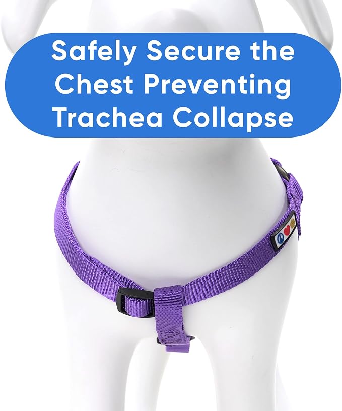 Pawtitas Solid Step-in Dog Harness – Adjustable No-Pull Vest for Puppies to Seniors, Safe & Comfortable M Purple