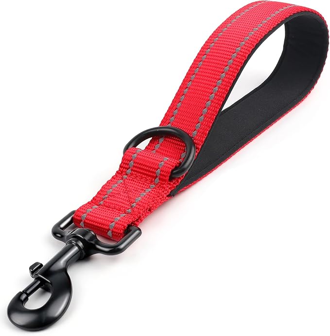 Joytale Short Dog Leash for Close Control & Training, 12", Red | Padded Comfort Handle, Reinforced Nylon Webbing, Secure Metal Clip, for Busy Streets & Heel Training