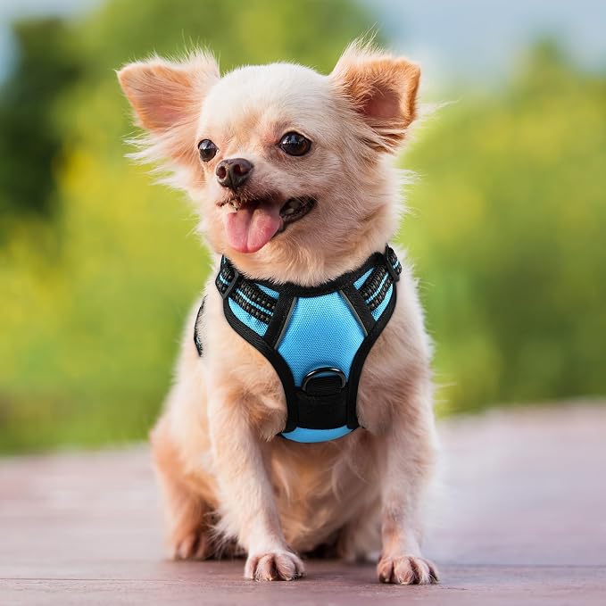 rabbitgoo Dog Harness, No Pull for Small Dogs with 2 Leash Clips, Pet Vest | No Choke with Handle, Adjustable Soft Padded, Reflective, Easy Control for Walking, Blue, X-Small