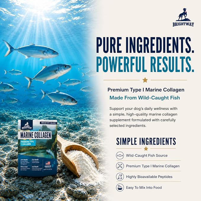 Wild Caught Marine Pet Collagen for Dogs, Peptide for Dogs - Improves Gut, Skin & Coat Health, Allergies, Pet Mobility Hip & Joint Supplement Health