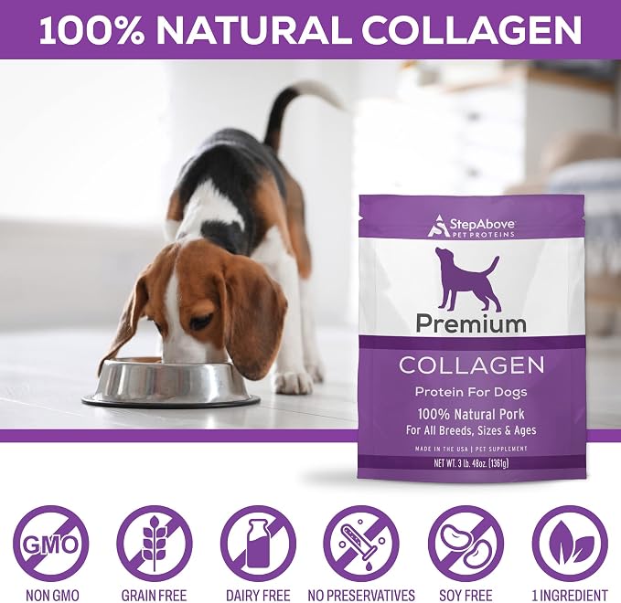 Premium Collagen Gelatin Protein for Dogs, 3Lb