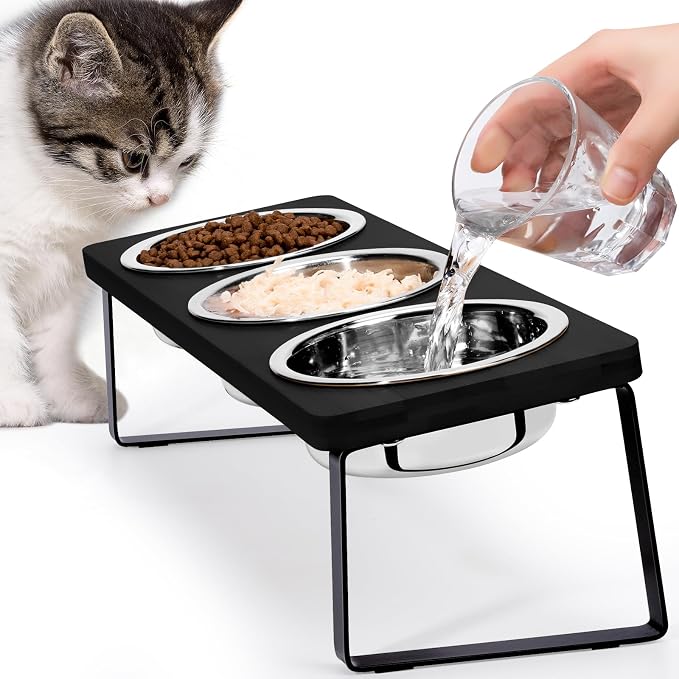 Elevated Cat Bowls for Food and Water: 15° Tilted Raised Cat Bowl Set Whisker Friendly 3 Black Stainless Steel Anti Vomiting Dishes with Stand for Indoor Kitty Kittens and Pet