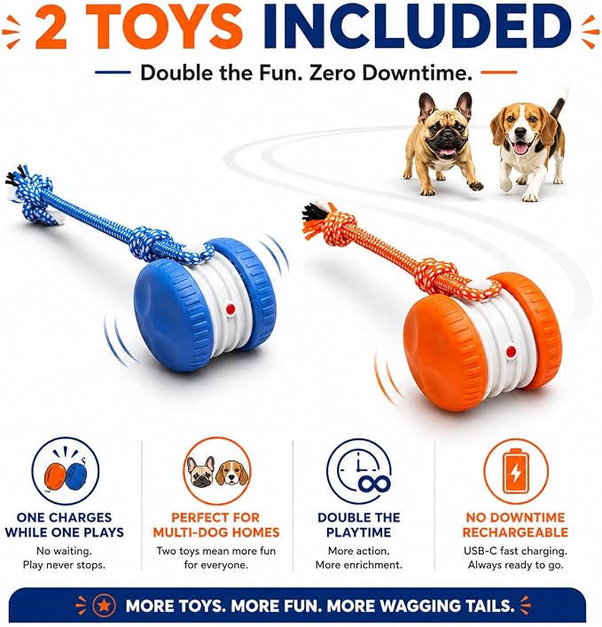 (2 Pack) Interactive Dog Toys for Small Dogs — Boredom Relief & Indoor Enrichment, Automatic Rolling Ball with Rope, Motion Activated Self Moving Dog Toy (Blue + Orange)