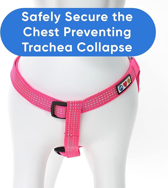 Pawtitas Reflective Step-in Dog Harness – Adjustable No-Pull Vest for Puppies to Seniors, Safe & Comfortable, M Pink