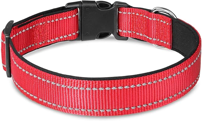 Joytale Red Striped 5FT Dog Leash and Collar with Reflective Threads, Nylon Dog Collars and Leashes for Small Dogs
