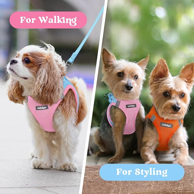 rabbitgoo Step-in Small Dog Harness, Puppy Vest for Small Sized Pet | Easy Put on and off, Lightweight, Soft, Breathable Quick-Dry Air Mesh for Comfortable Secure Walking, Blue & Light Pink XS