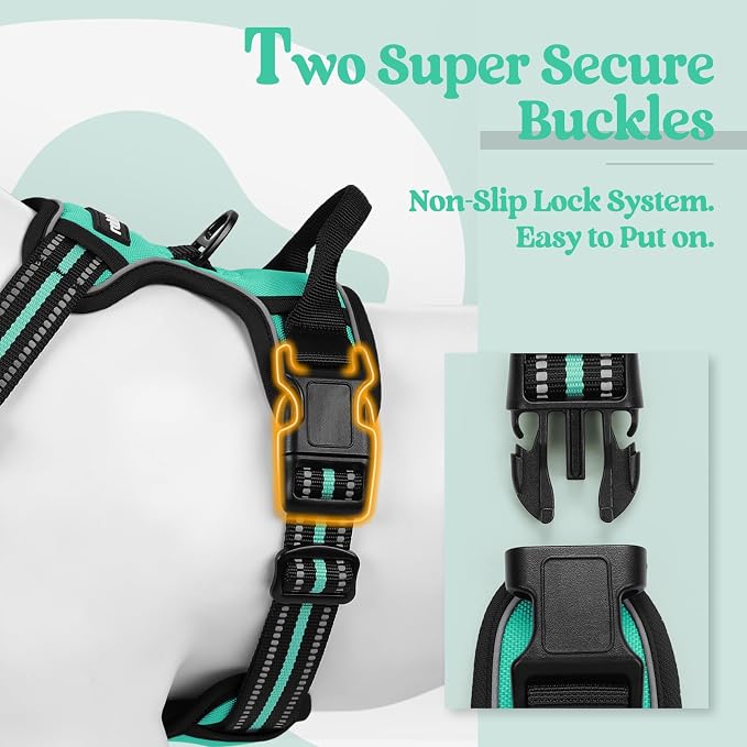 rabbitgoo Dog Harness, No Pull for Small Dogs with 2 Leash Clips, Pet Vest | No Choke with Handle, Adjustable Soft Padded, Reflective, Easy Control for Walking, Turquoise, Small