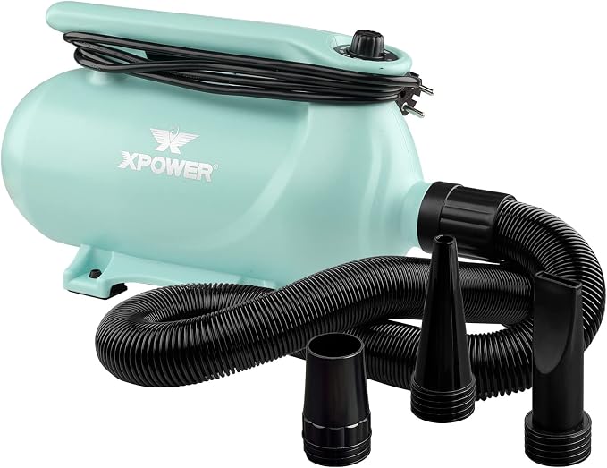 XPOWER B-163 High Velocity Pet Dryer (Mint Green)