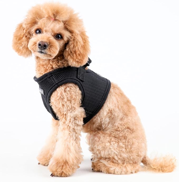 PUPPIA International Puppia Harness Soft B Vest Black XXLarge