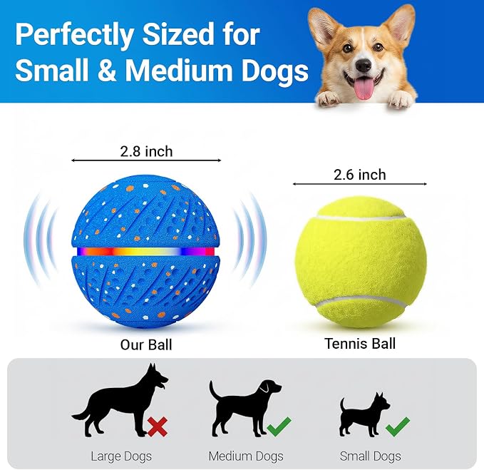 Interactive Dog Ball Toy, Automatic Rolling & Bouncing, LED Lights, Blue | 2.8-Inch Ball, Small & Medium Dogs, 2-in-1 Fetch Toy, Home Alone Play, Reduces Boredom, USB-C Rechargeable, Up to 3 Hours
