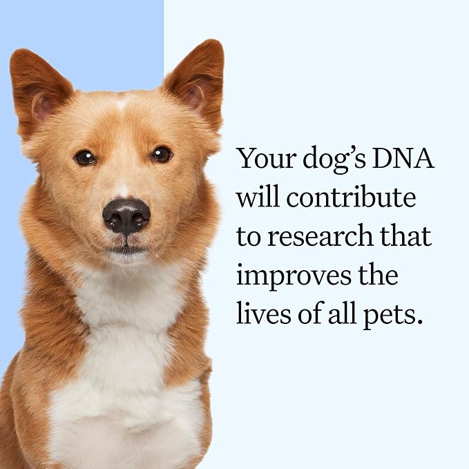 Wisdom Panel Essential DNA Test Kit, 2-Pack