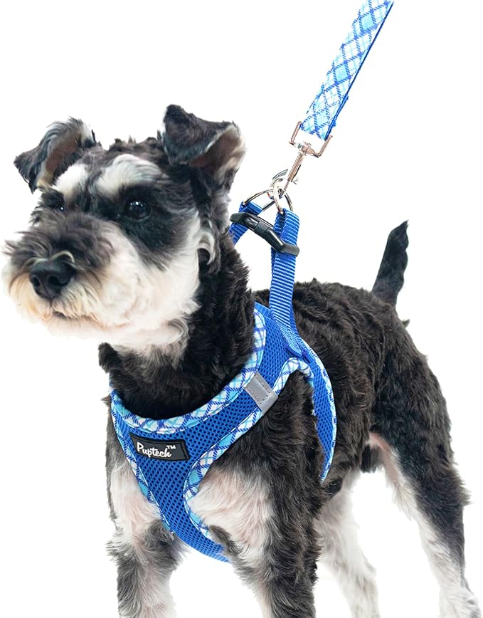 PUPTECK Dog Harness and Leash Set for Small Medium Dogs No Pull Step-in Soft Mesh Puppy Cat Vest Harnesses Reflective at Night, Blue L