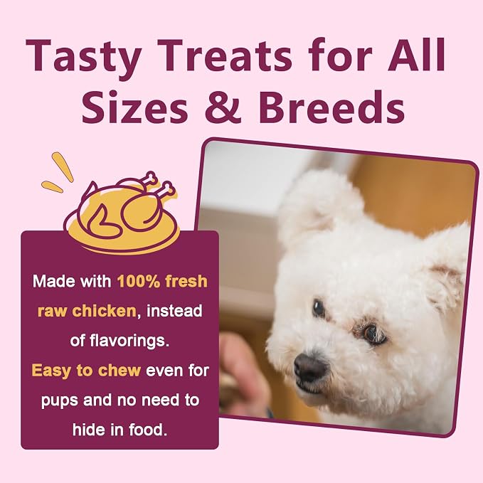 DRFOSTER Probiotics for Dogs, 6 Billion CFU, Pumpkin, 120 Chews