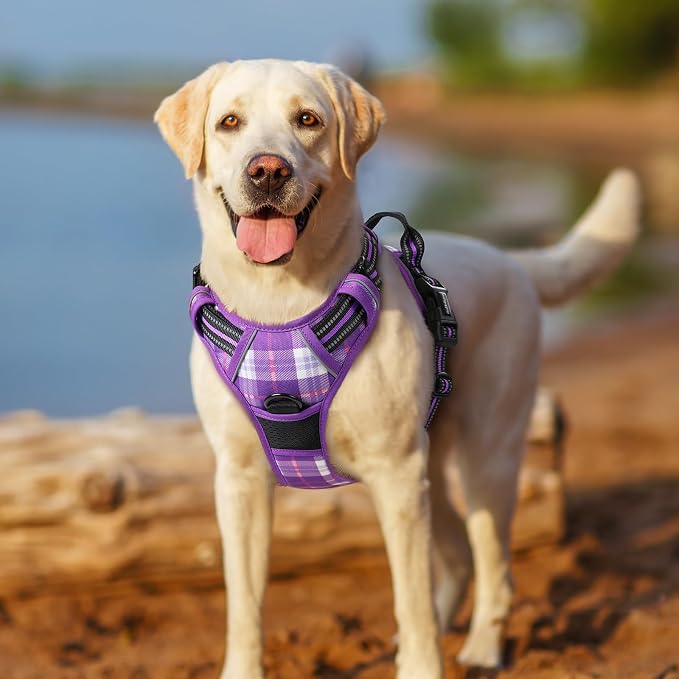 rabbitgoo Dog Harness, No Pull Medium Sized with 2 Leash Clips, Pet Vest | No Choke with Handle, Adjustable Soft Padded, Reflective, Easy Control for Walking, Purple Plaid, Medium
