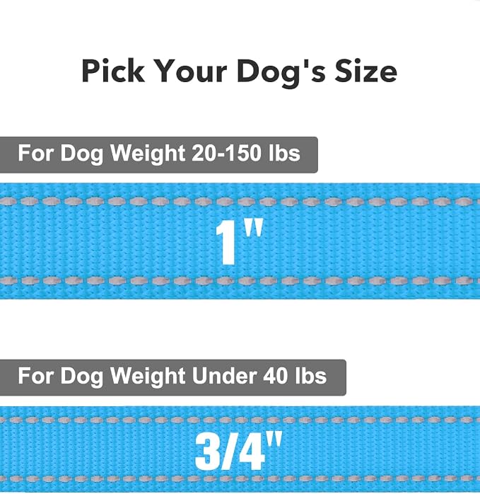Taglory Reflective Dog Leash for Small Dogs, 3/4in x 5ft, Sky Blue | Ideal for Night Walking, Strong for Sudden Pulls, Lightweight & Gentle on the Neck, Soft Padded Handle