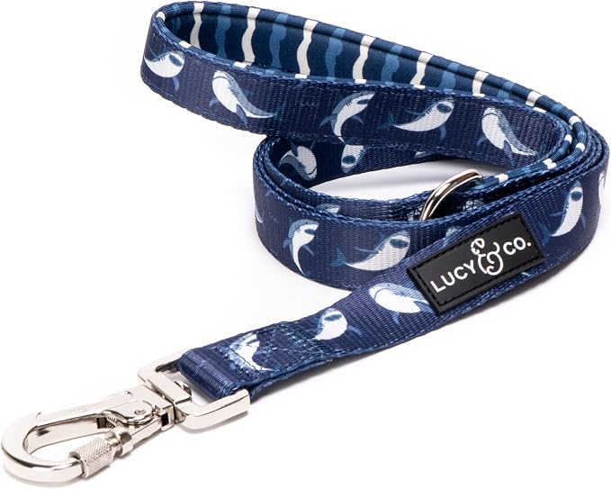 Lucy & Co. Shark Attack Dog Leash - 5-Foot Designer Dog Leash for Small, Medium or Big Dogs or Puppies Puppy - Pet Accessories & Supplies