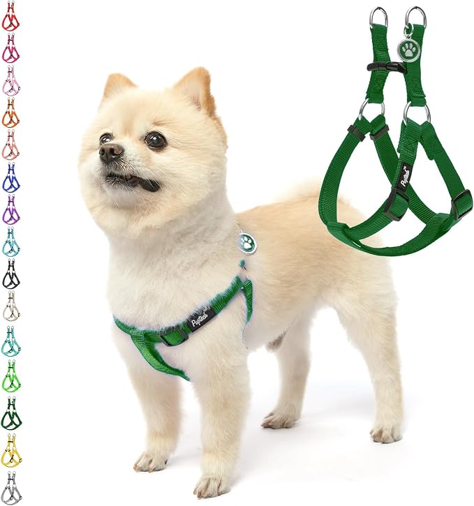 PUPTECK No Pull Dog Harness Small Sized Step-in Adjustable Puppy Vest | Soft Webbing Basic Halter with ID Tag for Outdoor Walking