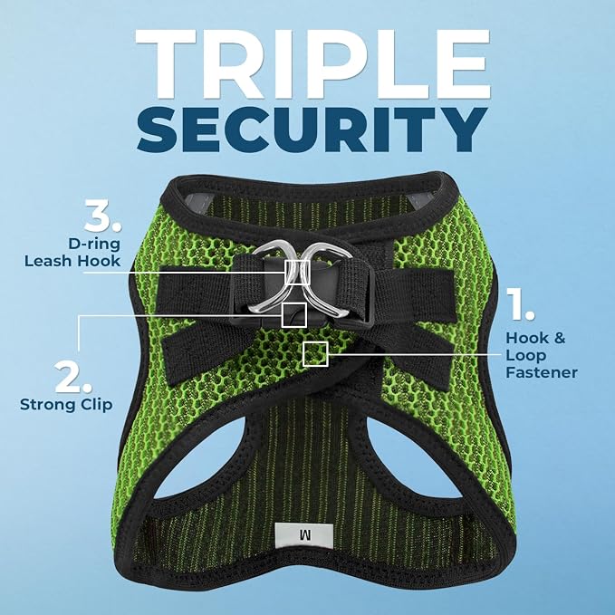 Best Pet Supplies Voyager Step-in Air All Weather Mesh Harness and Reflective Dog 5 ft Leash Combo with Neoprene Handle, for Small, Medium and Large Breed Puppies - Lime Green (2-Tone), M