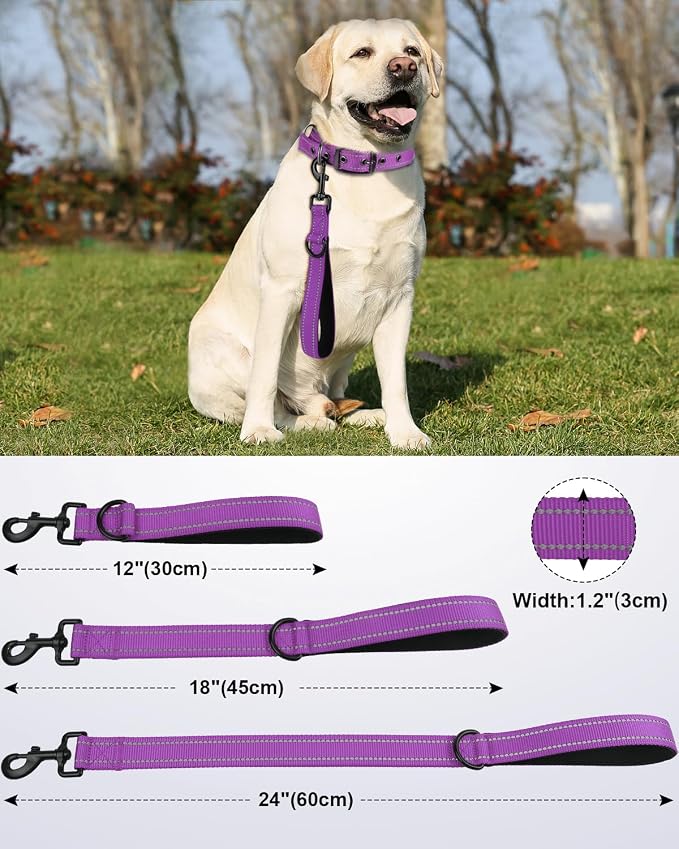 Joytale Short Dog Leash for Close Control & Training, 24", Purple | Padded Comfort Handle, Reinforced Nylon Webbing, Secure Metal Clip, for Busy Streets & Heel Training