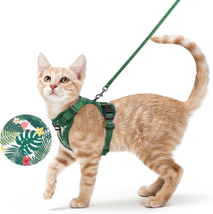 rabbitgoo Cat Harness and Leash Set, Escape Proof Vest, Rainforest Green | Soft Breathable Mesh, Easy Adjustable Fit, Snap Buckles, Sturdy Clip, Reflective Strips, for Small & Average Cats Walks, Xs