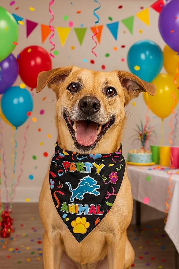 NFL Detroit Lions Pet Birthday Bandana, NFL Dog Birthday Party Set and Costume, Licensed Dog & Cat Birthday Party Scarf, Football Team Pet Outfit, Puppy Bday Accessory, Size Small/Medium