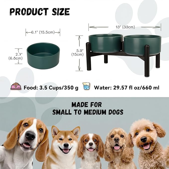 Raised Ceramic Dog Bowl Set - Elevated Double Dishes with Stainless Steel Stand - Food and Water Bowls for Small to Medium Dogs - Each Holds 3.5 Cups (29.57 fl oz) - Green