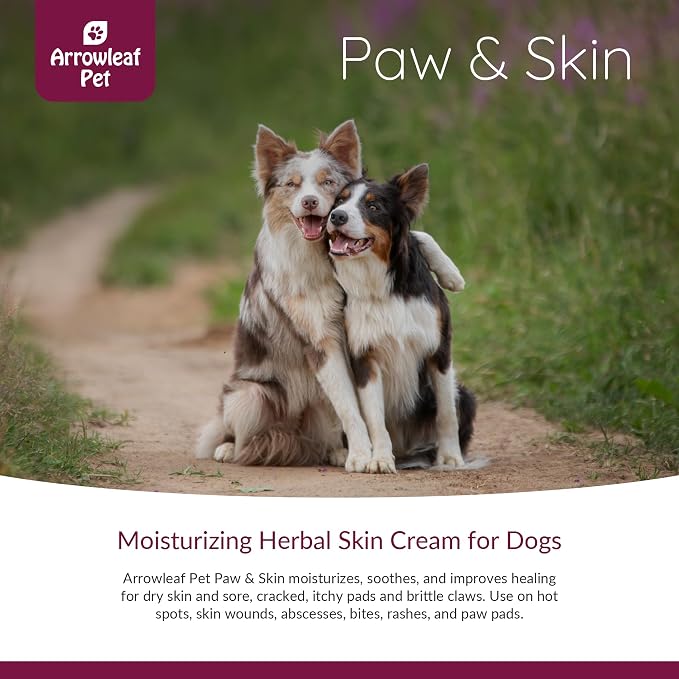 Paw & Skin by NaturPet Inc Soothing Balm for Dogs | All-Natural Wound Care | Bites, Paw Protection, Nose Balm, Hot Spots | 60mL