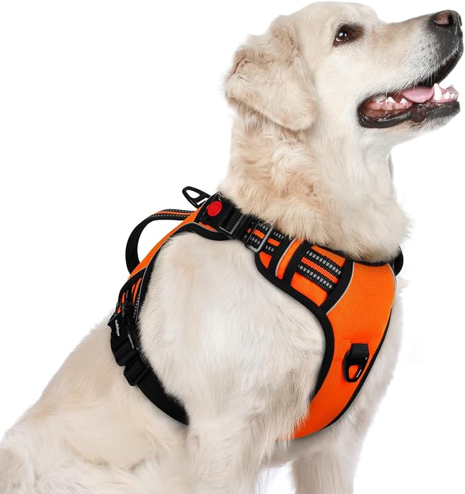 rabbitgoo Large Dog Harness, Easy Wear with 3 Buckles and Lift Handle | No Pull with Front Clip for Walking, Adjustable Soft Padded, Reflective, Easy Control, Orange, Large