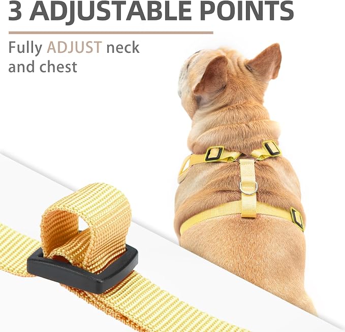 PUPTECK Thanksgiving Fall Small Dog Harness and Leash Set, No Pull Adjustable Puppy Cat Harness, Reflective Soft Mesh Pet Vest Small Sized, Leaves, M