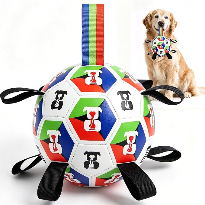 Rensh Dog Soccer Ball with Straps 6 Inch, Interactive Dog Ball for 20-40 lb | Outdoor and Indoor, PU Material, Erratic Bounce, Buoyant Water Toy, Pump Included, Not for Aggressive Chewers