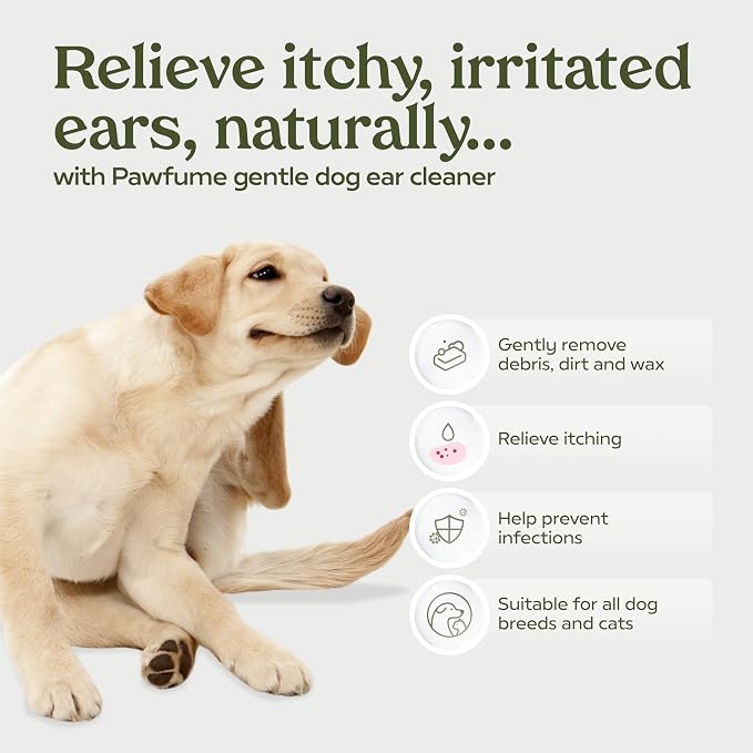 PawFume Dog Ear Cleaner Solution, 1-Pack – Soothe Itchy Ears Instantly – with St. John’s Wort & Almond Extracts, Vet-Certified Formula, Alcohol-Free & Sulfate-Free – Dog Ear Wash for All Breeds