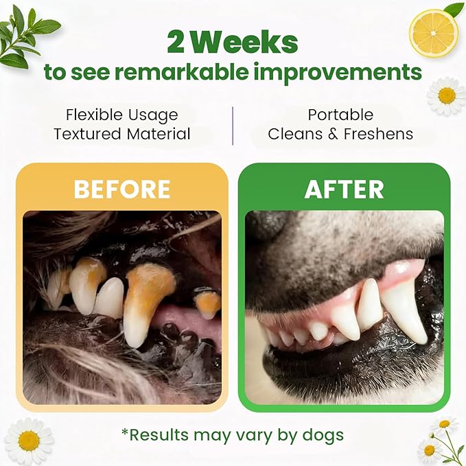 Dog & Cat Tooth Brushing kit - 60Ct Dog Toothbrush & Toothpaste Alternatives, Dental Care Wipes, Heavy Duty Teeth Cleaning, Remove Tartar & Plaque, Breath Freshener