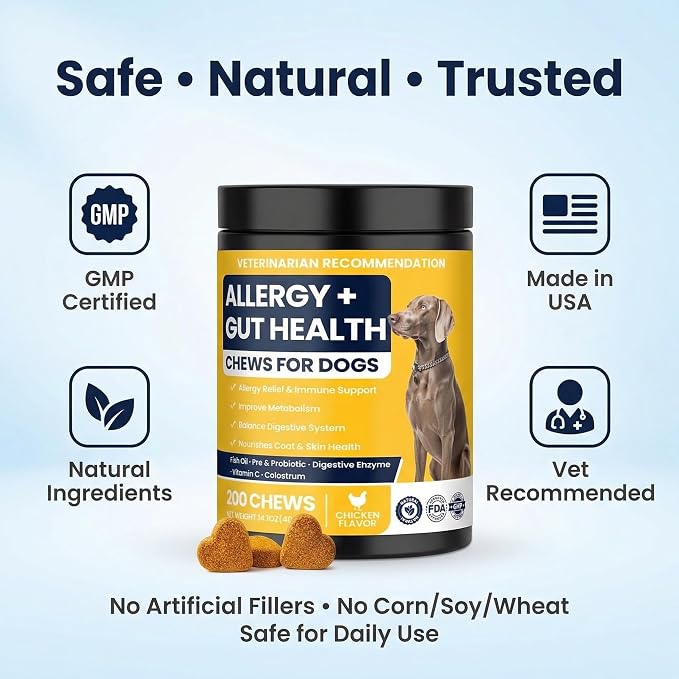 Dog Allergy Chews for Dogs, Itchy Skin & Paw Licking Support, Probiotics for Dogs, Immune & Gut Health, Seasonal Allergy Support, Skin & Coat Health, Chicken Flavor Soft Chews, 200 Ct