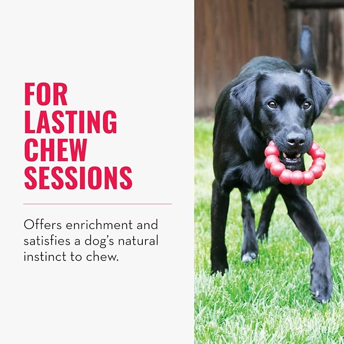 KONG Ring, Natural Rubber Chew Toy for Dental Health, for Extra Large Dogs | KONG Natural Rubber Ring Toy That Supports Healthy Chewing Habits, Dog Dental Health & Natural Play Instincts