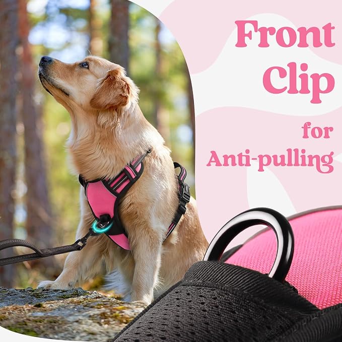 rabbitgoo Dog Harness Small Sized, Updated Easy On & Off with 3 Buckles | No Pull No Choke, Walking with 2 Clips and Handle, Adjustable Soft Reflective, Rose Pink, Small