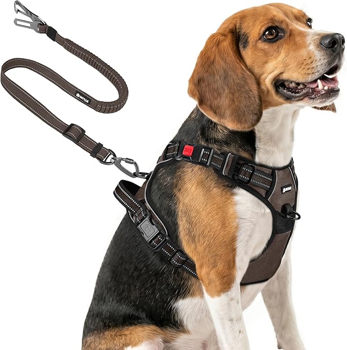 Joytale No Pull Dog Harness & Seat Belt, Easy On 3-Buckle, M, Brown | Front Clip Reduces Pulling, Escape-Resistant Design, Adjustable Fit, Soft Padding for Comfort, Secure Tether for Safer Travel