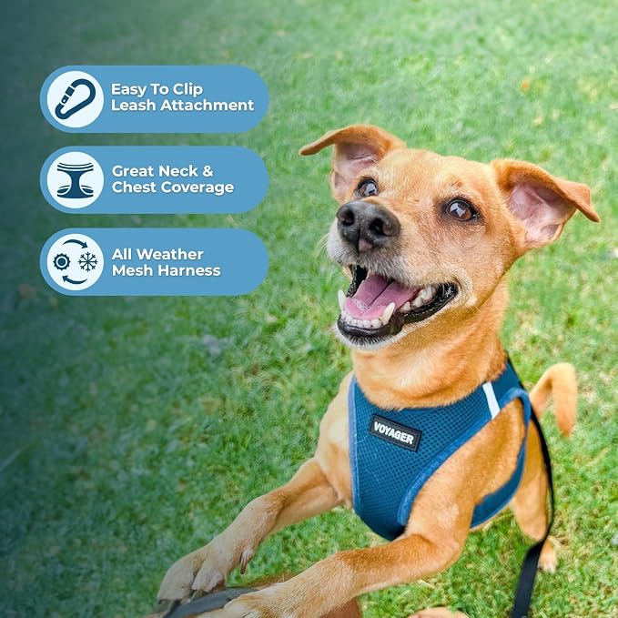 Best Pet Supplies Voyager Step-in Air All Weather Mesh Harness and Reflective Dog 5ft Leash Combo with Neoprene Handle, for Small, Medium and Large Breed Puppies - Turquoise, X-Large