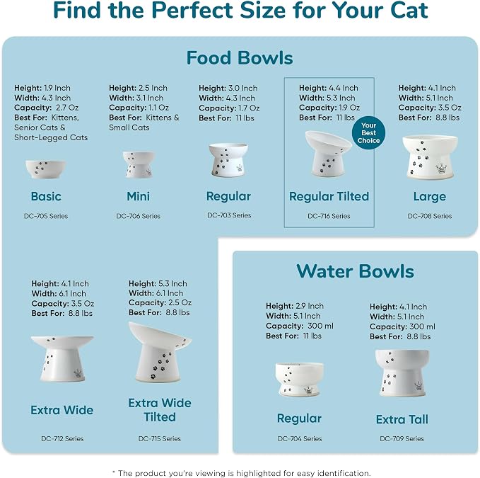 Necoichi Raised Cat Food Bowl – Ceramic Elevated 15° Tilted Cat Bowl for Whisker & Neck Fatigue, Dishwasher Microwave Safe – Non-Slip & Anti Vomiting Ergonomic Design (Fuji, Regular Tilted)