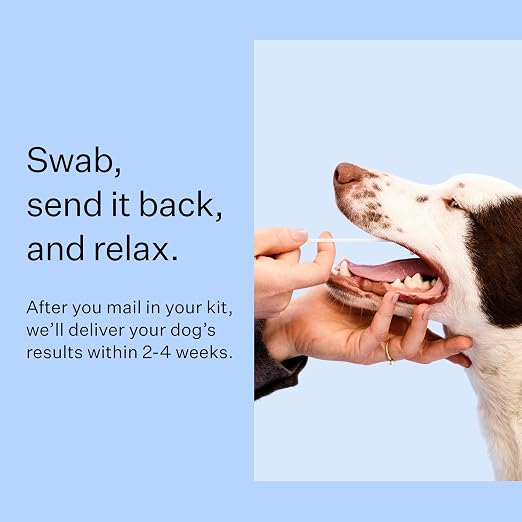 Wisdom Panel Breed Discovery DNA Test Kit