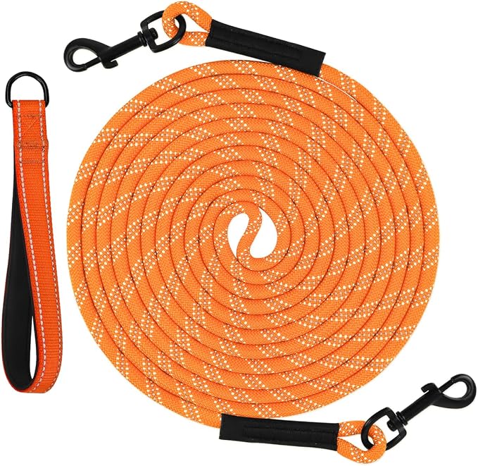 Taglory Long Dog Leash with Removable Padded Handle Tie Out, 15/30/50/66FT Heavy Duty Training Leash with 2 Swivel Hooks for Large Medium Small Dogs Camping, Hiking, Walking, Backyard, Orange, 15FT
