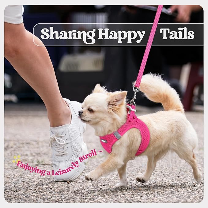 rabbitgoo Dog Harness Small Sized and Leash Set, Step-in Puppy Pet Vest | Light, Soft, Breathable Air Mesh, Easy on and Remove with Hook & Loop, Secure Reflective for Walking, Rose Red S